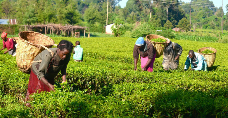 How to Curb Asian Exploitation of Nigerian Farmers-NVCCI