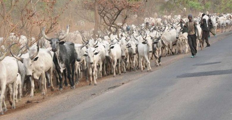 Benin Monarch Charges Governors' Forum On Herdsmen Killings