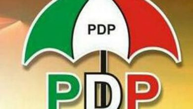 PDP's Reforms Yielding Dividends, Party Insists