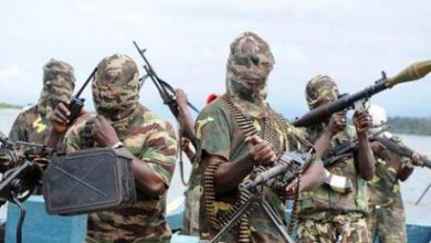 Angry Ex-Militants Speak: FG Promised Us Cars, Exclusive Apartments, But They Are Nowhere To Be Found