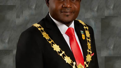 ICAN Move To Safeguard Integrity, Review Syllabus