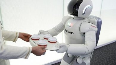 Creativity Is The Survival Skill Needed In This Age Of Threatening Artificial Intelligence