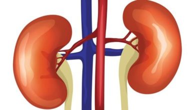 Anemia In Chronic Kidney Disease