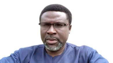 PDP Chieftain Attacks Sagay, Says He Should Playing To The Gallery