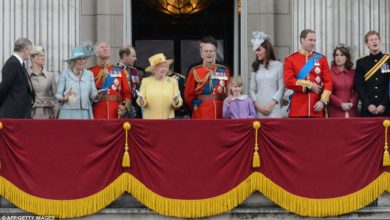 Behold A Splendid British Royalty At The RAF Military Parade Inspection Today
