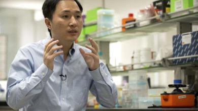 Chinese Scientist Claims He Assisted In Creating First Genetically-Modified Babies