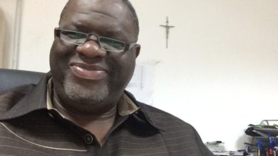 Nigeria Can Make Agriculture Its New Petroluem-Nwankwo