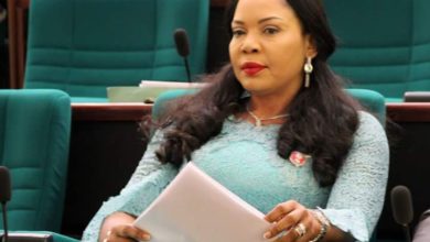 South-East, South-South Back Their Own Rep For Speakership