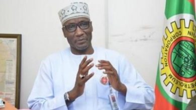 Why President Buhari Removed NNP’s GMD-Ughamadu