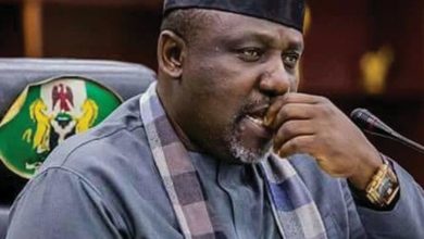 Magu, Oshiomole Planning To Eliminate Me, Okorocha Alleges
