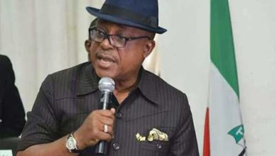 Minority Leadership Tussle: Elumelu, Six Others Get PDP’s Suspension