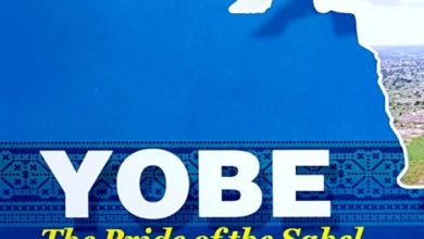 Gov. Buni Of Yobe State Approves N228 Million For LG Retirees