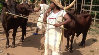 Two Day Closure Of Livestock Market In Enugu - Miyetti Allah