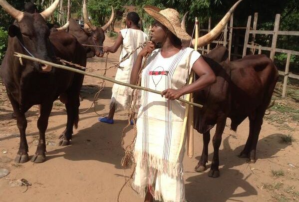 Two Day Closure Of Livestock Market In Enugu - Miyetti Allah