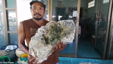 Mother Luck! Scavenger Finds “Whale Vomit” Worth Over $500,000