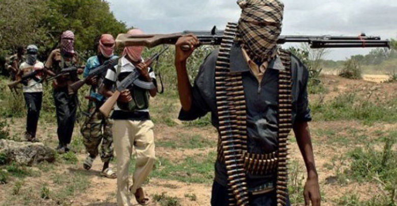 Lawmaker Cries Out As Boko Haram Kills UNIMAID Student