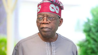 Bola Tinubu Finally Speaks On Amotekun