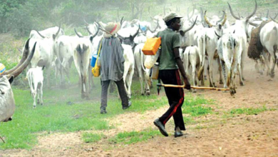 Herdsmen Kill Nollywood Actor In Kwara