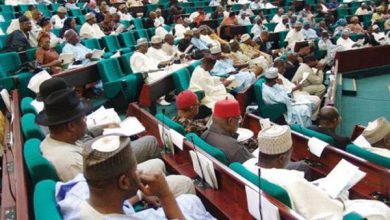 Reps Move Closer To Confer Immunity On Senate President, Speaker