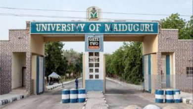 UNIMAID Reacts Over Killing Of 30 Persons, Including Students In Borno