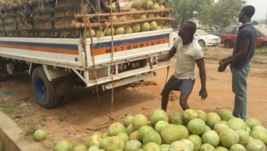 400 Bags Of Smuggled Rice Concealed Under Water Melons Intercepted In Kebbi