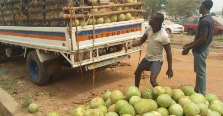 400 Bags Of Smuggled Rice Concealed Under Water Melons Intercepted In Kebbi