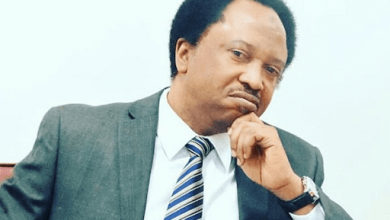 Stop Talking Before They Come For You – Shehu Sani Warns Sultan Of Sokoto