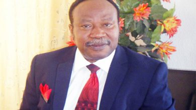 Find Ways To Relax Lockdown In Lagos, Abuja, Says Onitiri