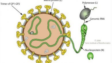 34 Doctors In Kano Test Positive For Coronavirus, One Dies