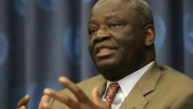 Uncertainty Surrounds Gambari’s Reported Appointment As Buhari’s CoS