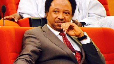 Shehu Sani Reacts Over Killing Of Aid Worker By Boko Haram