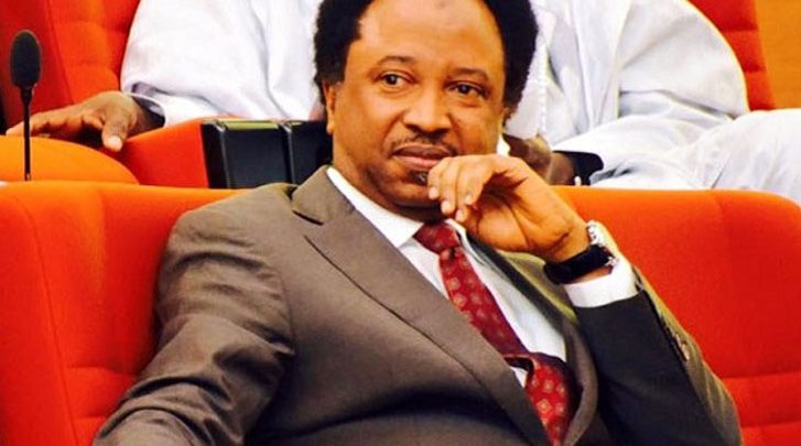 Shehu Sani Reacts Over Killing Of Aid Worker By Boko Haram