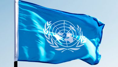 UN Suspends Two Employees Over Viral Sex Video