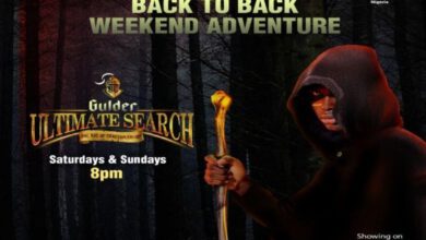 Things To Know About New, Returning Shows, Other Exciting Content On DStv, GOtv